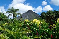 AdobeStock_207554738