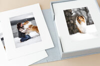 north-idaho-pet-photography-folio-box