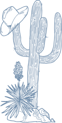 hand illustrated cactus