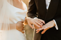 Bride and Groom ring shot