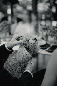 heiraten-belle-epoque-baden-276 Kopie