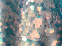 Rainbow-SequinBackdrops-BananaWho--05