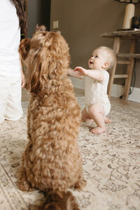 nashville-tn-family-photographer-maggie-reade-butera-23