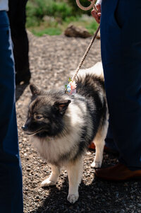 Jess Weller Photography-31