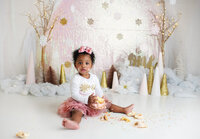 CT-Smash-Cake-First-Birthday-Photographer-3