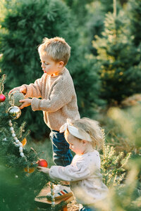 new jersey christmas tree farm mini session photographer-1-24