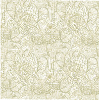 watershed lacey@300x-100