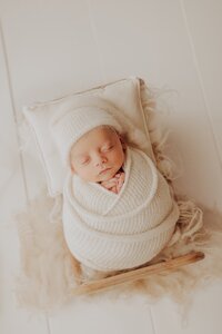 Sacramento, Elk Grove, Florin, Vineyard, Roseville, Davis, Rancho Cordova, East Sacramento, Cameron Park, Folsom, Antelope Newborn Photographer, Baby Photographer, A Little Goose