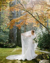asheville wedding photographer - Biltmore Estate - Grove Park Inn - Homewood - editorial - best - creative - candid42