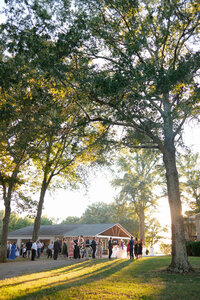 reception-114