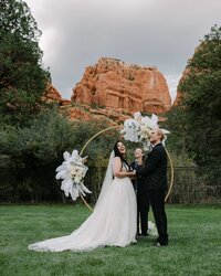 asheville wedding photographer - Biltmore Estate - Grove Park Inn - Homewood - editorial - best - creative - candid2