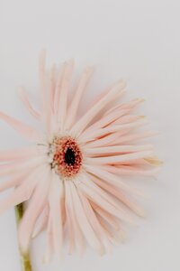 pexels-tara-winstead-7663190