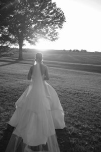 reception-192
