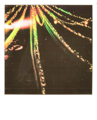 m+p polaroids-3