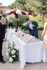 LanceandNicole'sWedding-TheGrandDelMar-PetulaPeaPhotography500