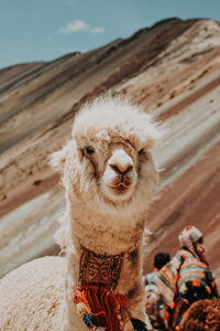 across-south-america-luxury-travel-551