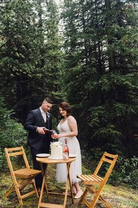 cake in the forest - elopement activity ideas