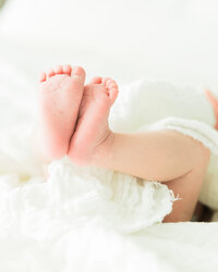 Close-up detail photo of newborn baby feet wrapped in soft fabric during an in-home newborn photography session.