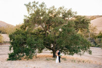 San Luis Obispo wedding photography at Higuera Ranch oak tree by Amber McGaughey