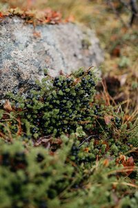 Tromso_Elopement-165