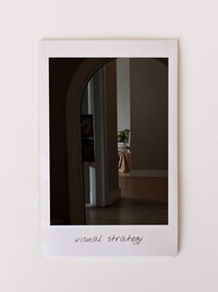 visual strategy