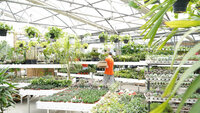 GARDEN_GREENHOUSE_WINNIPEG_GARDEN_CENTER_SHELMERDINE_MANITOBA_PLANT_ANNUAL_SHOP_BOUTIQUE_GIFT_TREES_SHRUBS
