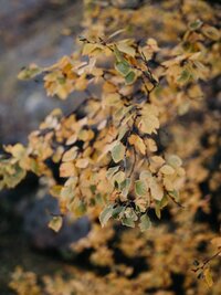 Norway_Elopement-85