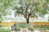 rus-farm-wedding-pictures72