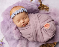 Peacefully sleeping newborn baby girl wrapped in a soft lavender swaddle and wearing a blue headband while posed on a plush purple blanket during a studio newborn photography session by Kaitlyn Dawn Photography.