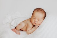 Sacramento, Elk Grove, Florin, Vineyard, Roseville, Davis, Rancho Cordova, East Sacramento, Cameron Park, Folsom, Antelope Newborn Photographer, Baby Photographer, A Little Goose