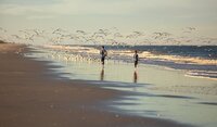 Professional photography by Nature's Child Photography: Two children running along reflective wet sand and sending a flock of birds into flight during a beach family session.