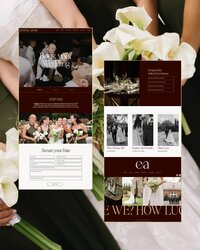 Website - 8