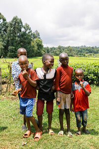 Kisii - Allie Jorde Creative24