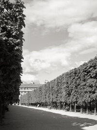 paris-photoshoot-8