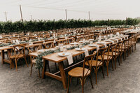 GilchristWedding_503