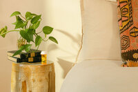 Nightstand still life with a trailing plant and Mochi product in morning light