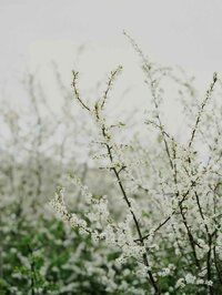 annie-spratt-ukyasRpyhv4-unsplash (1)