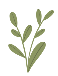 Florida Social Butterfly Green Leaves icon