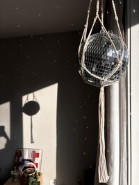IMG_2252