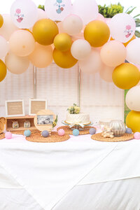 event-photography-mallorca-babyshower--31