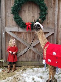 llama organizations
