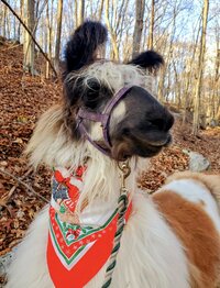 bidwell-portrait-21_53460106290_o