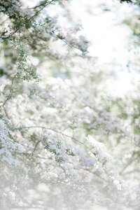 The-Luminous-482-scaled