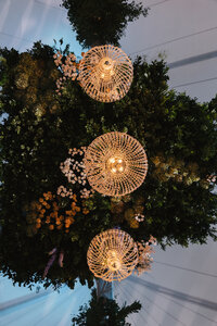 240601INGROB0204