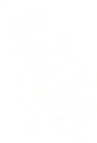 elopement package washington state