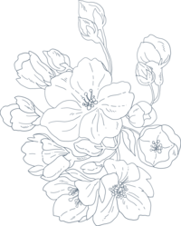 destination wedding photographer