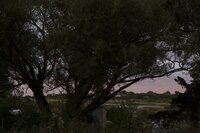 Nantucket cottage backyard during sunset. Deborah Zoe Photography.