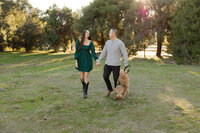 Couple walking hand in hand with their dog in a sunlit park at sunset, natural lifestyle photography by Kaitlyn Dawn Photography.