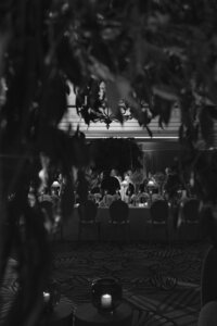 251011NICADE_adv0227