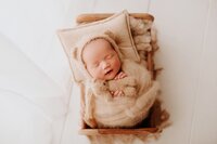 Newborn and toddler sibling portrait, both sitting safely with soft props